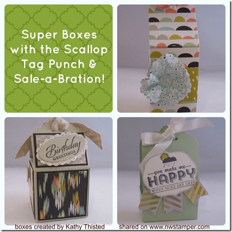 scallop tag punch boxes