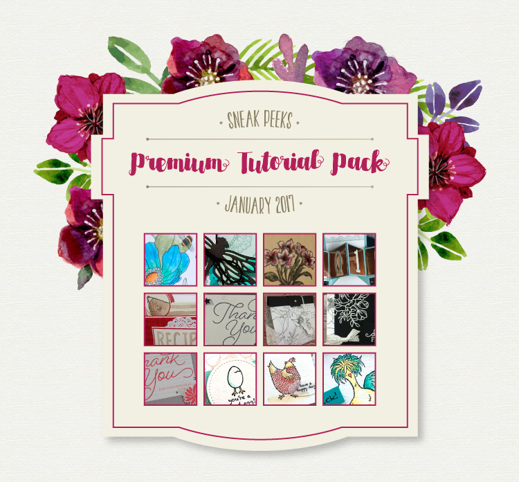 January-Premium-Tutorial-Pack-Teaser-Grapic